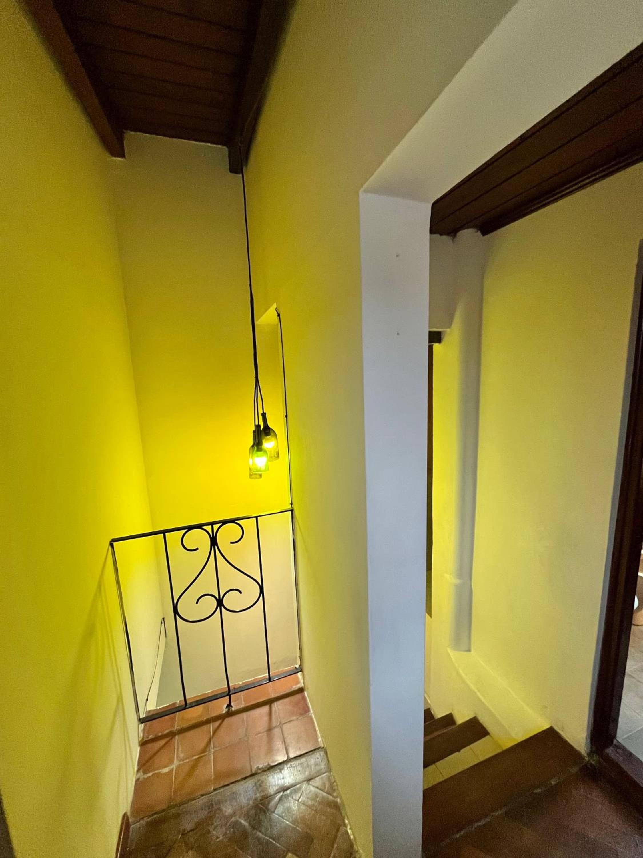 Mirador Cuyaya