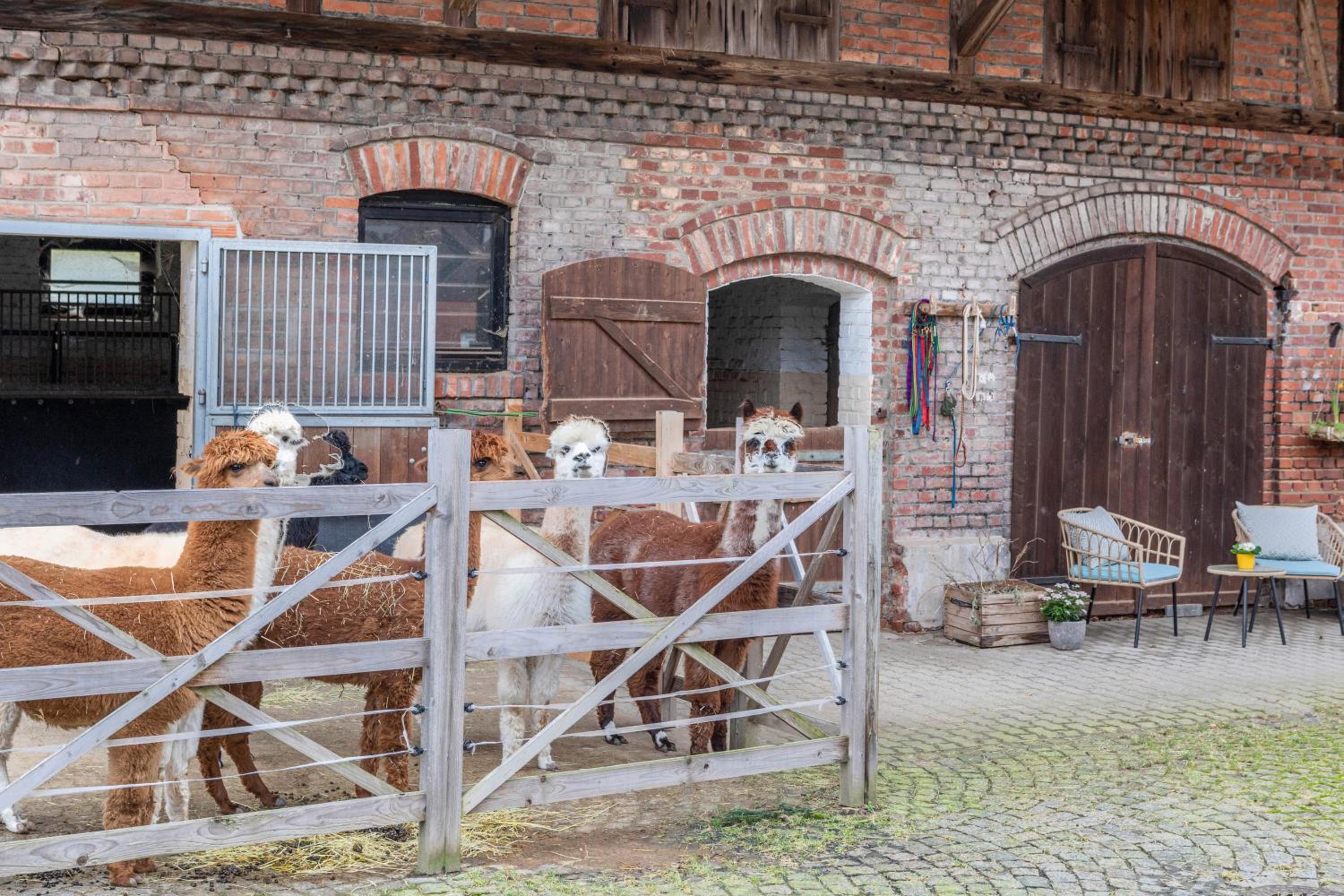 Ferienwohnung Haseltal