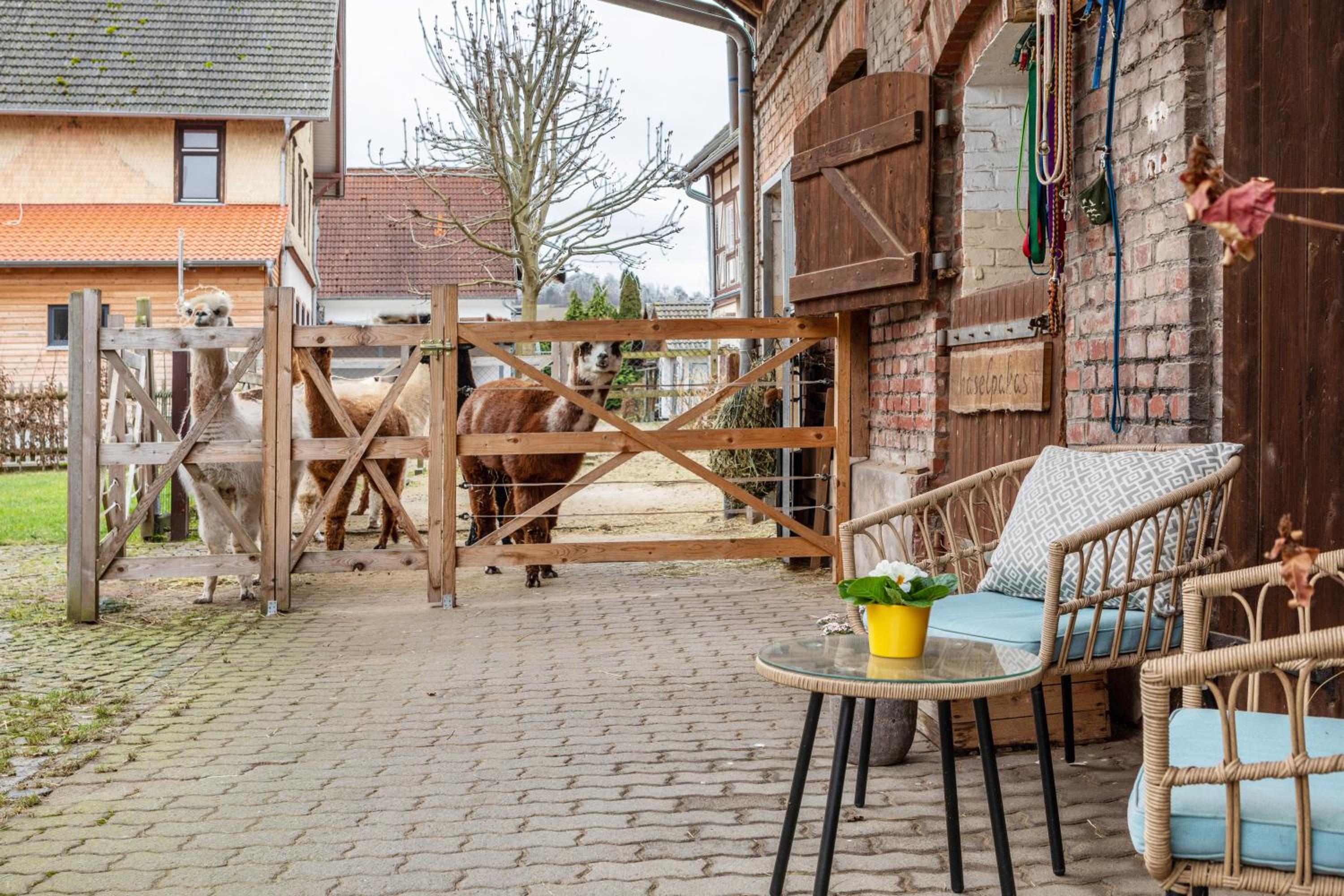 Ferienwohnung Haseltal