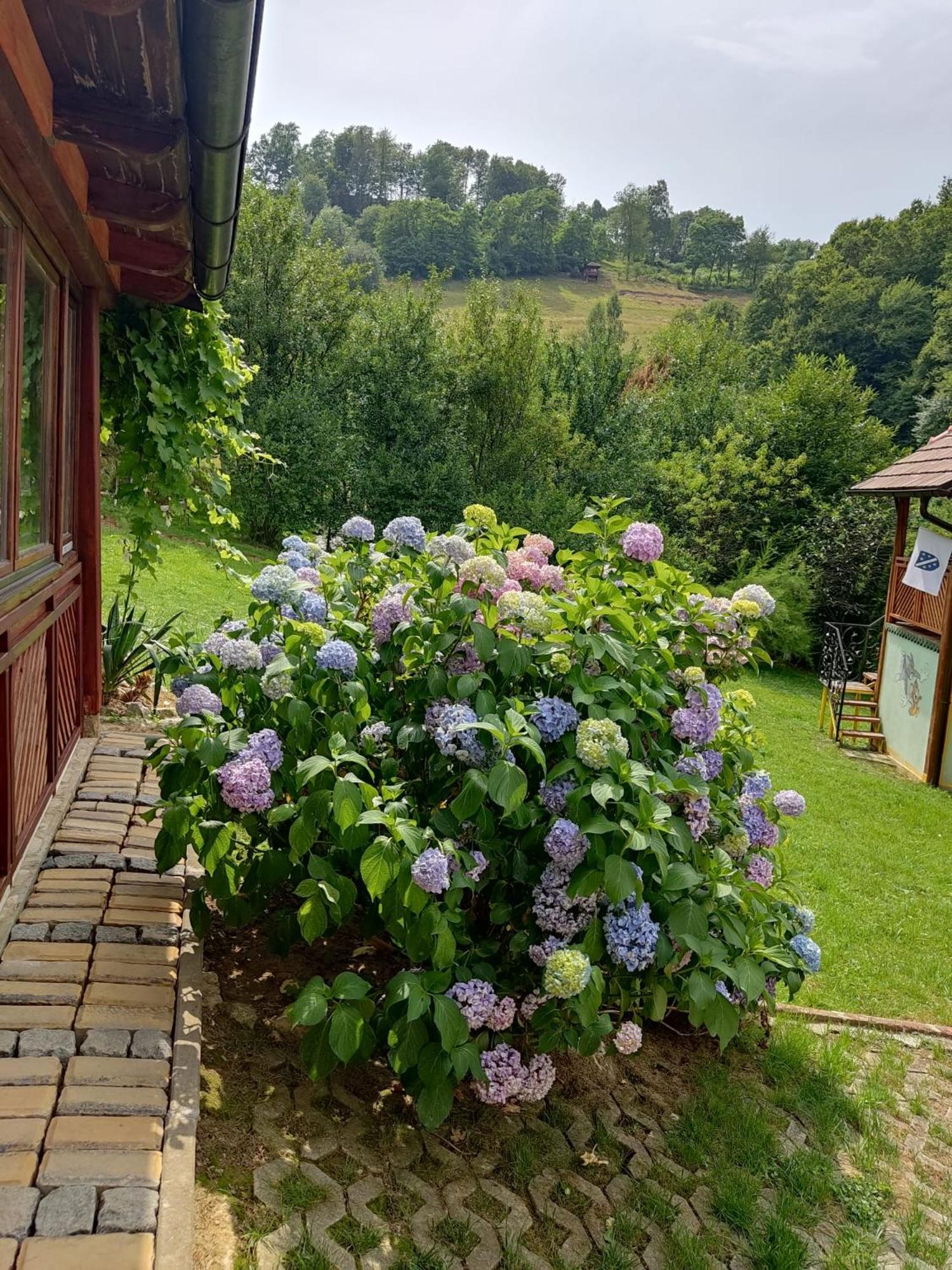 Holiday Home Pharaoh