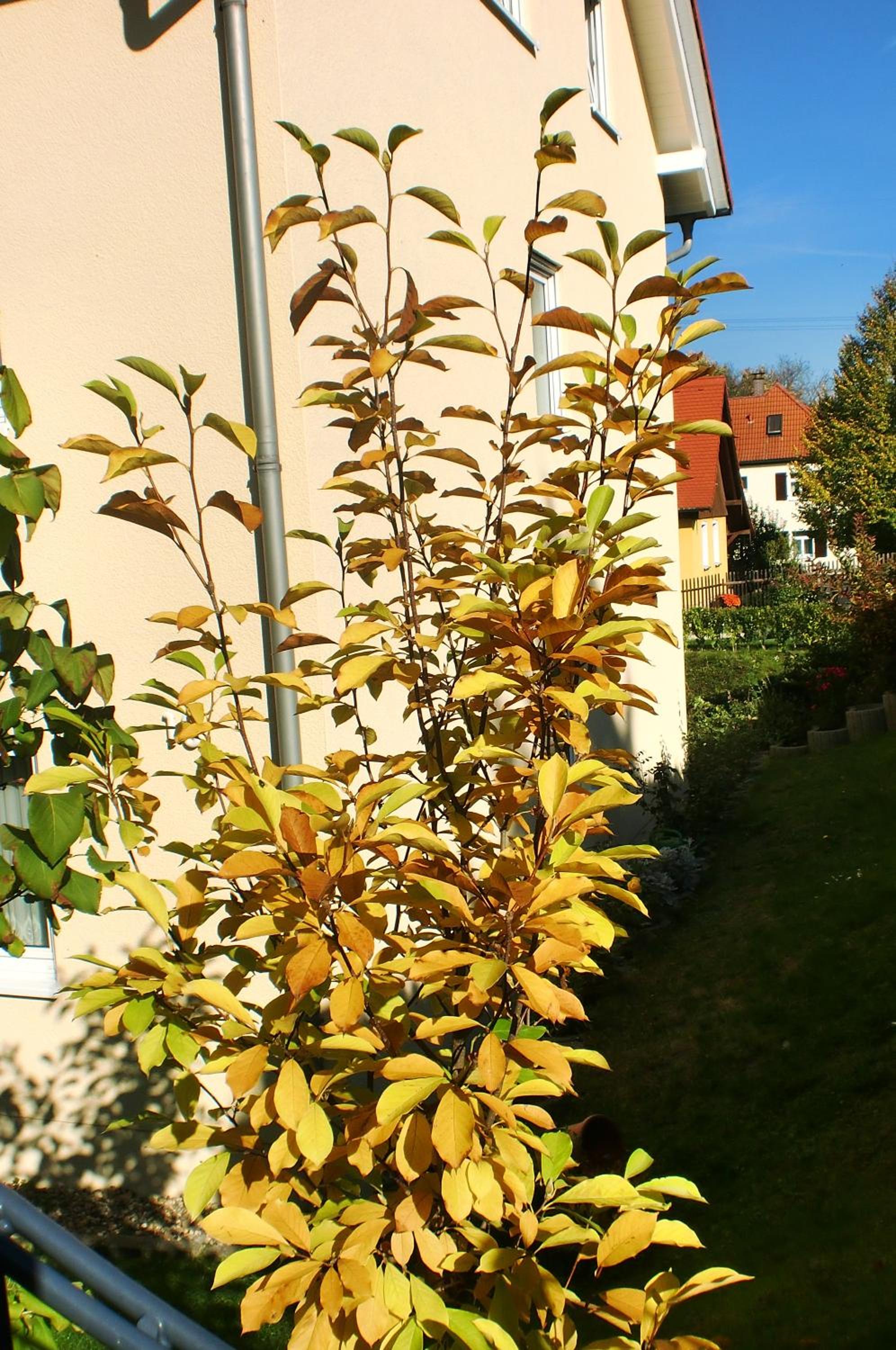 Ferienwohnung Böhme