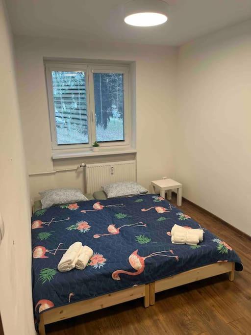 Apartmán Alexandra