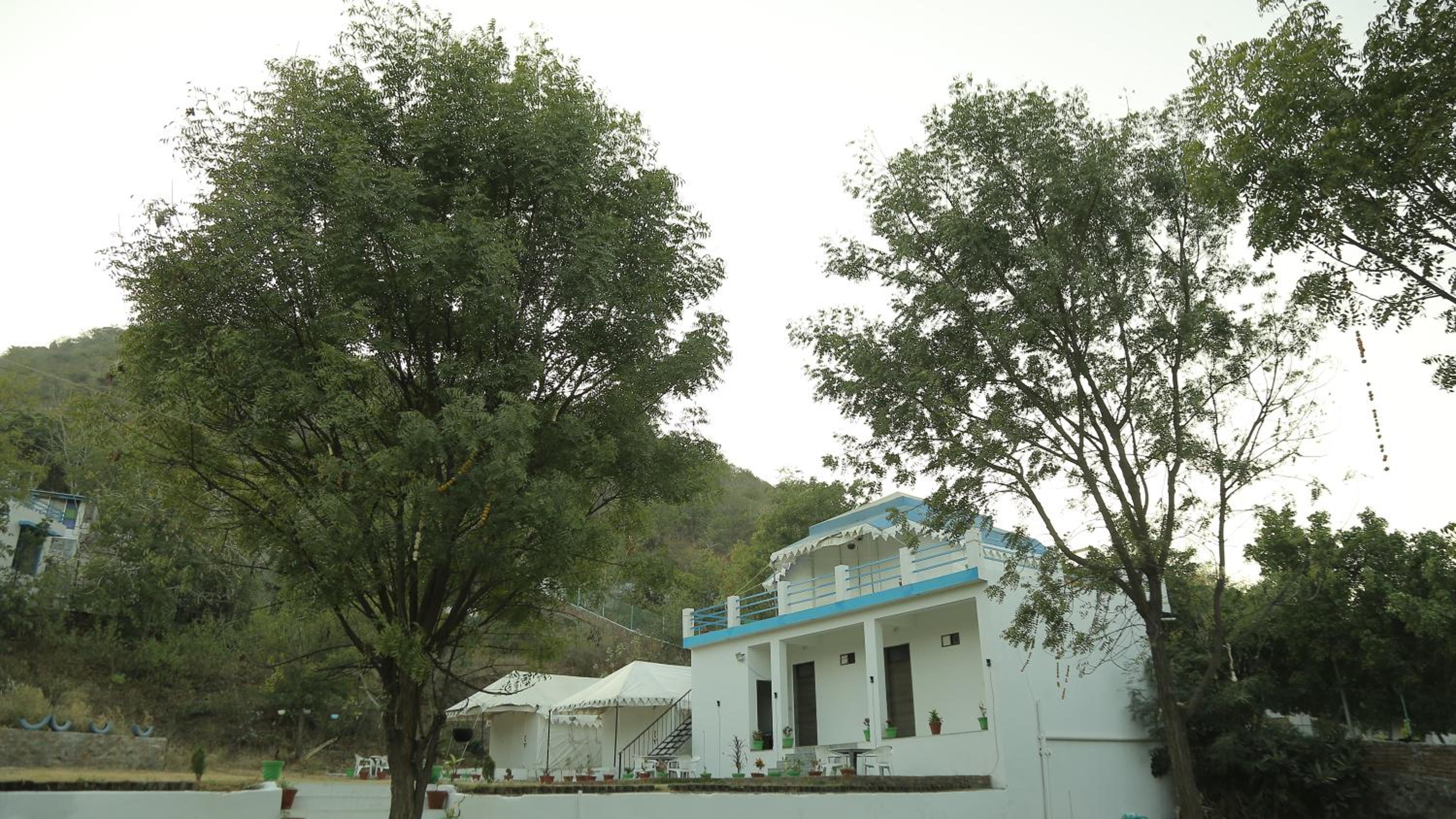 Photo 28