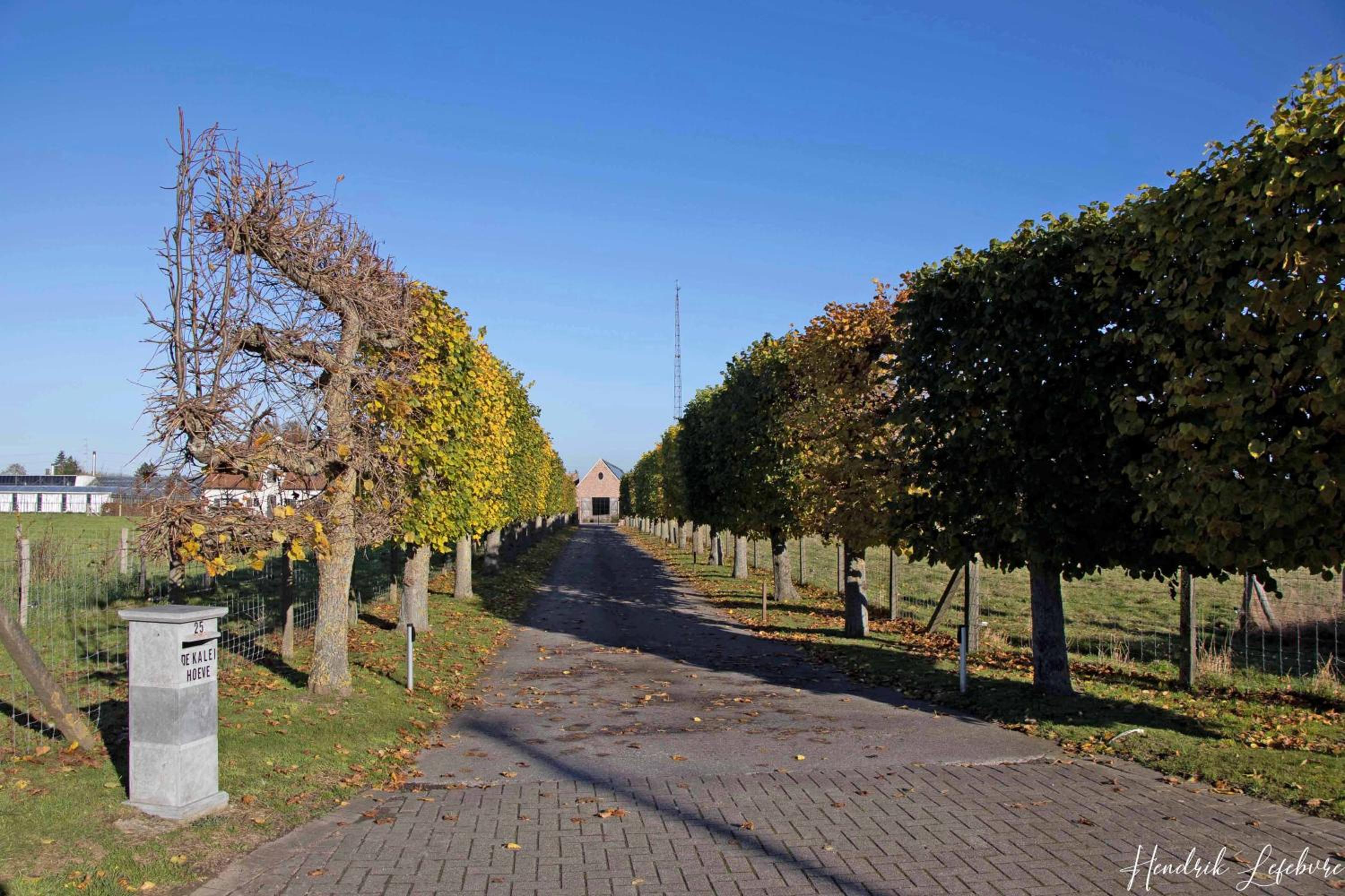 De Kaleihoeve