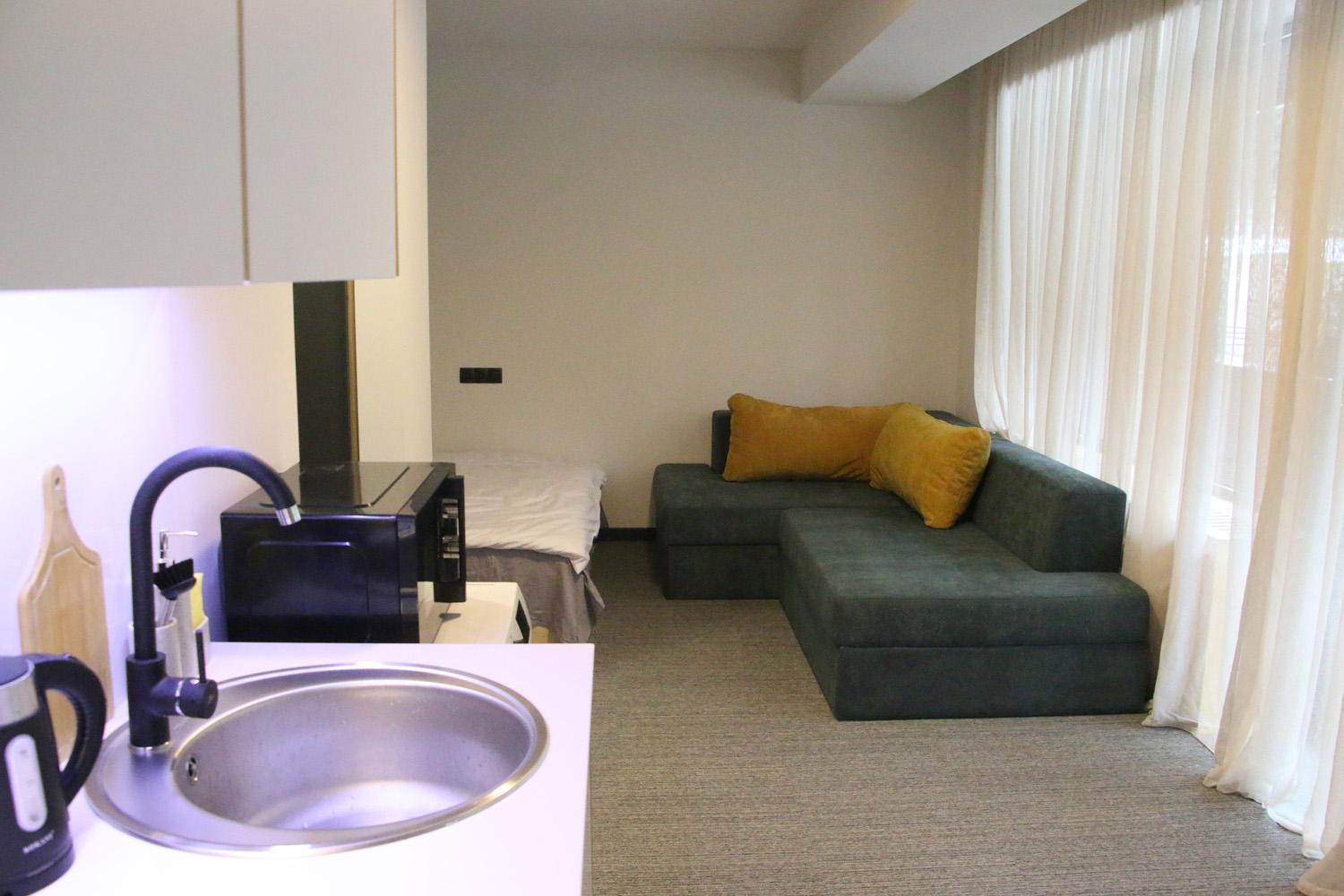 ski-in/ski-out apartment in Bakuriani view 3