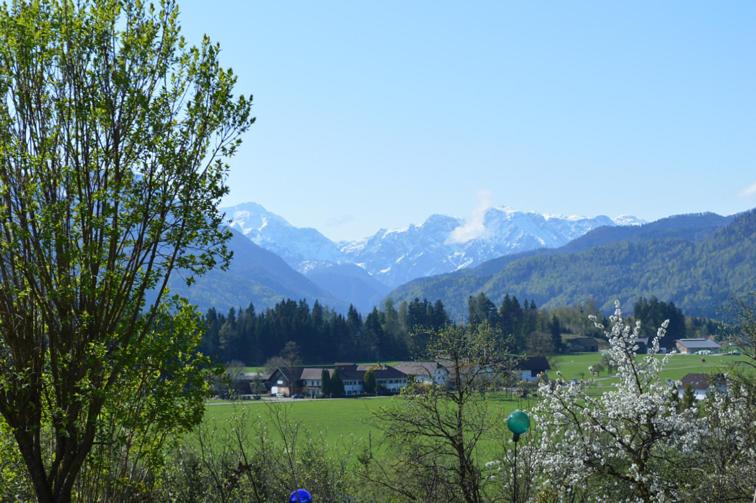 Pension Schindlau