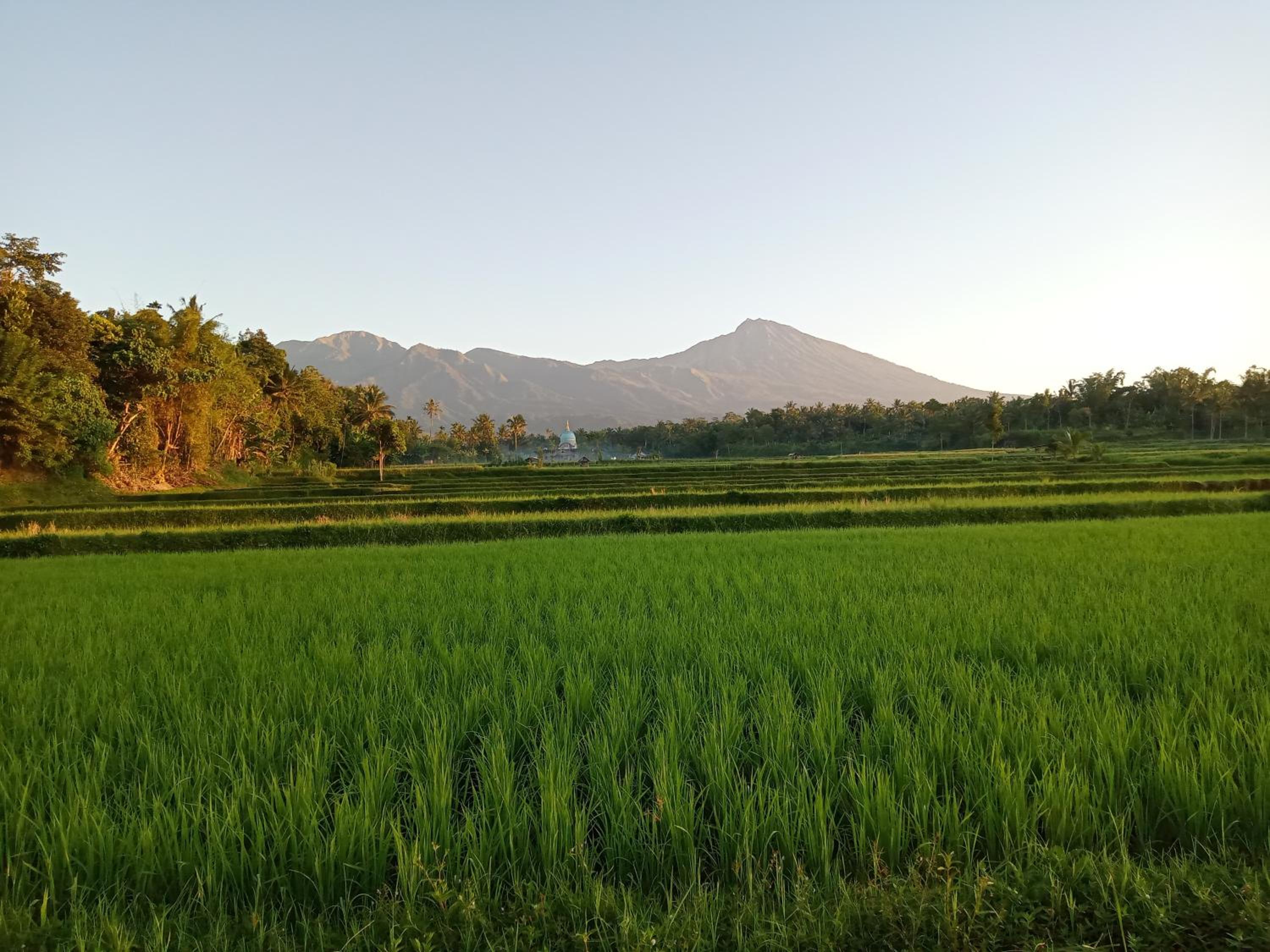 Hendra Homestay