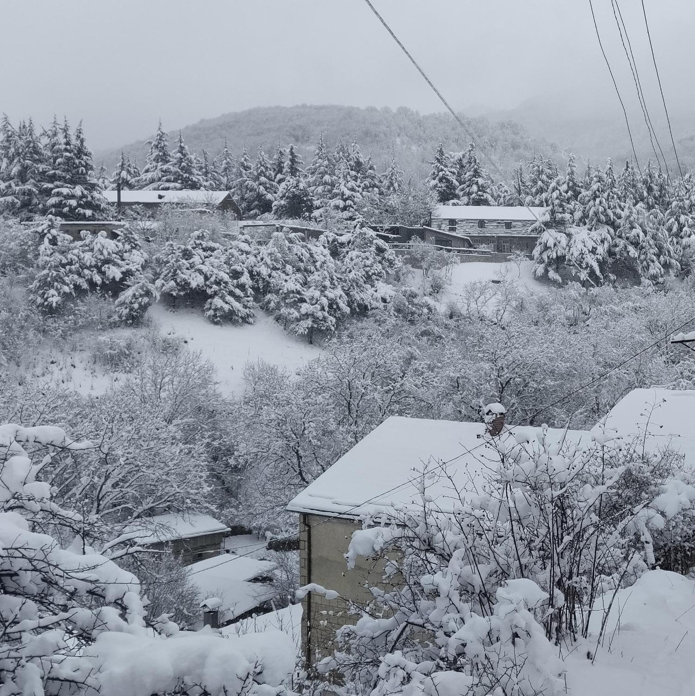 Rent House Dilijan