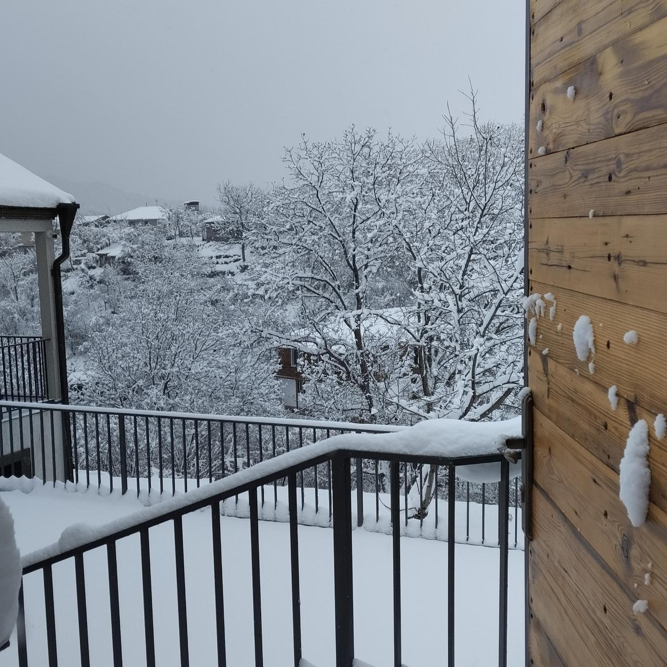 Rent House Dilijan