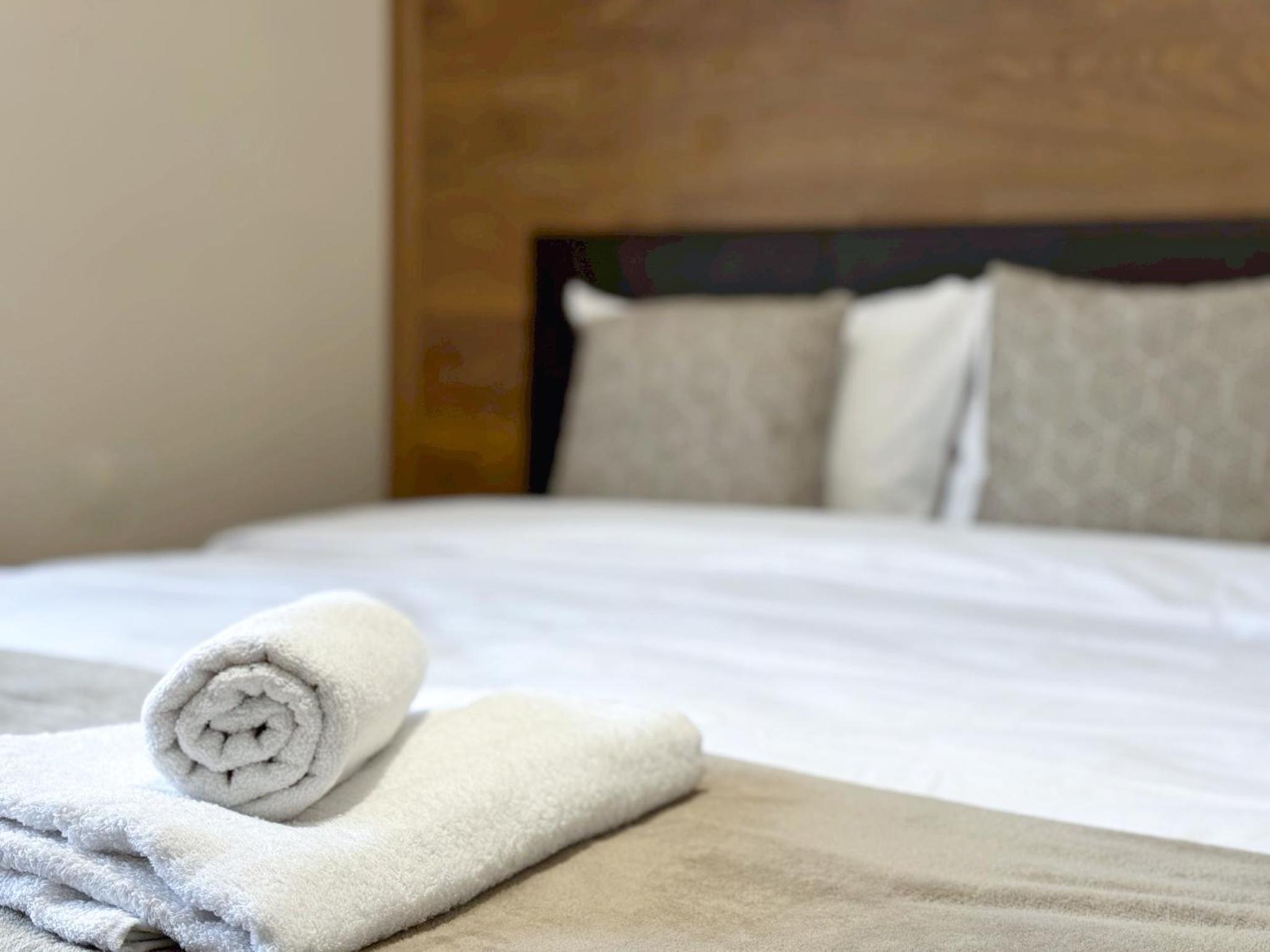 Top Centre Plovdiv Apt. With Parking for 4 Guests