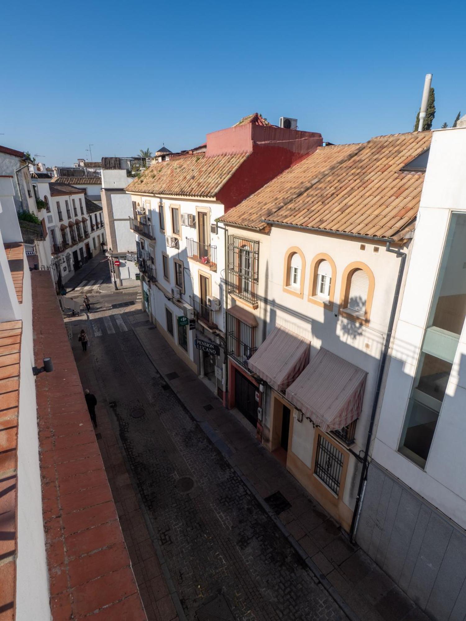 CASA SOJO