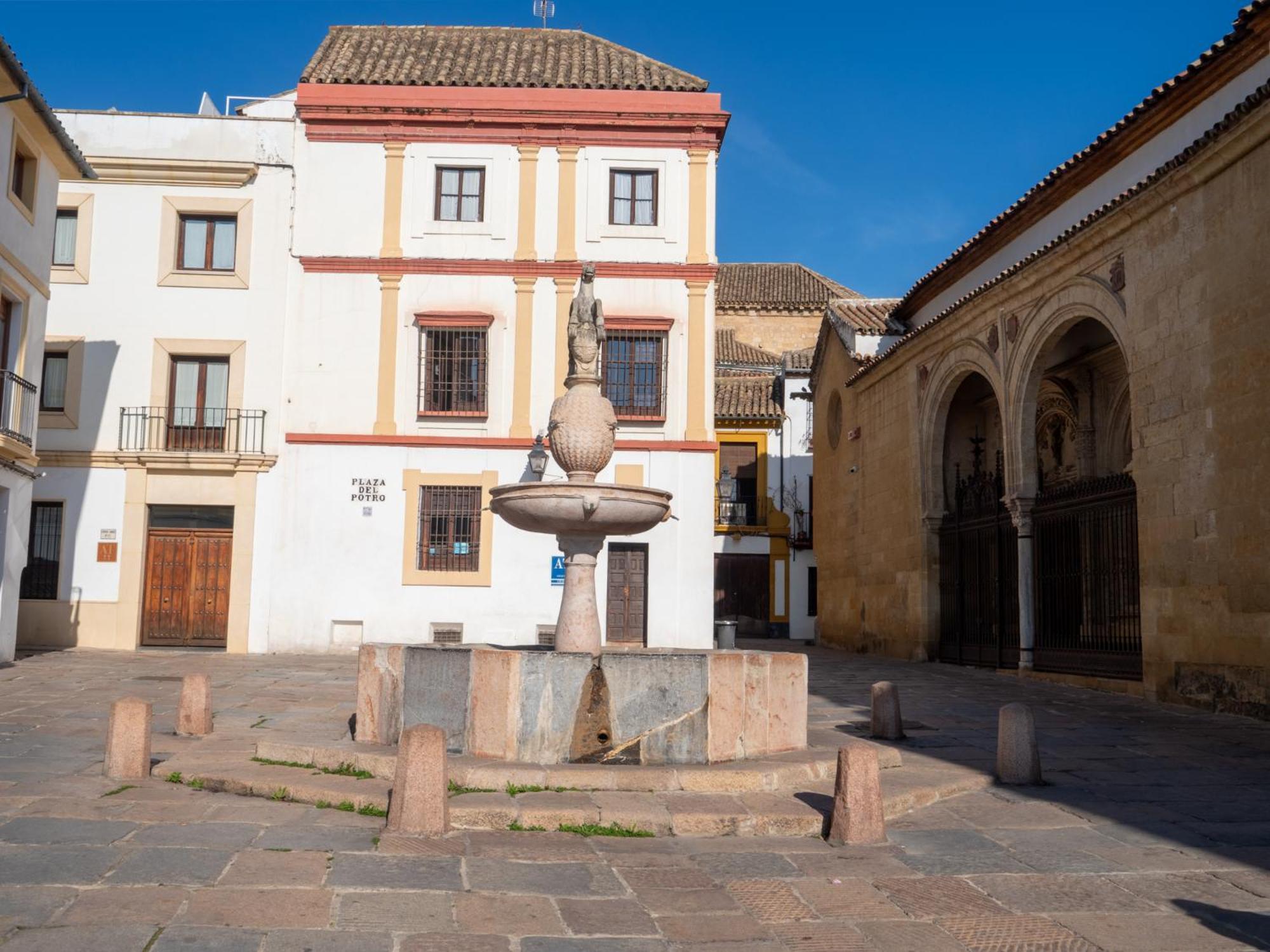 CASA SOJO
