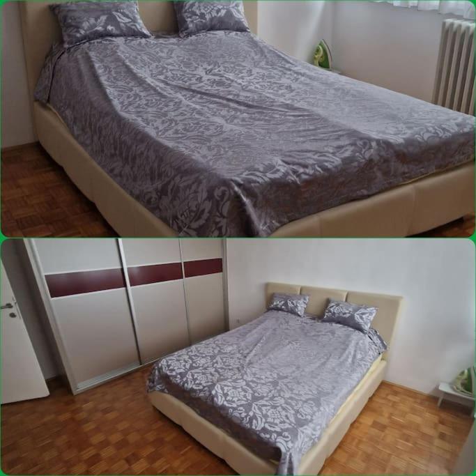 Apartman Cowabunga