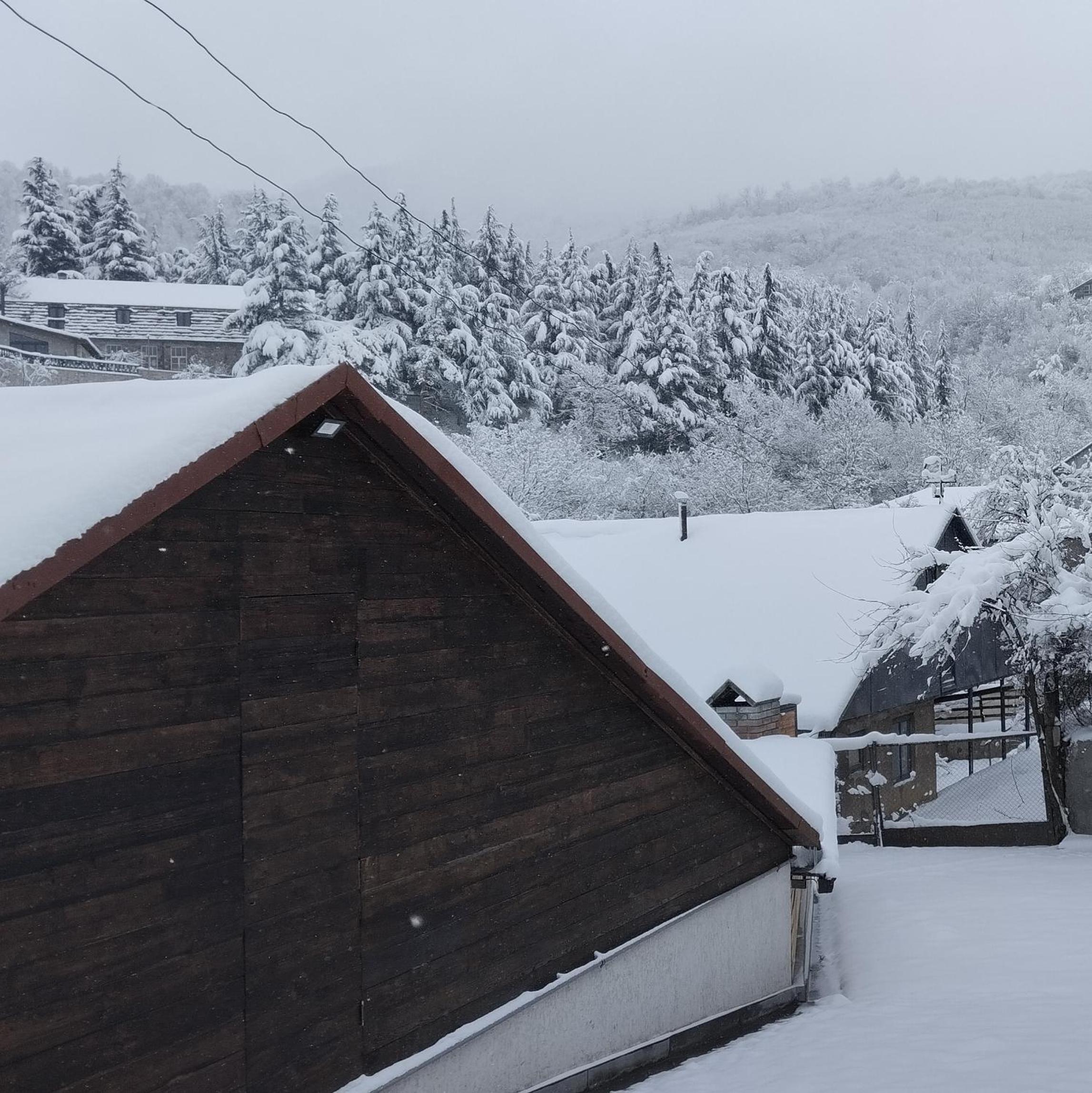 Rent House Dilijan