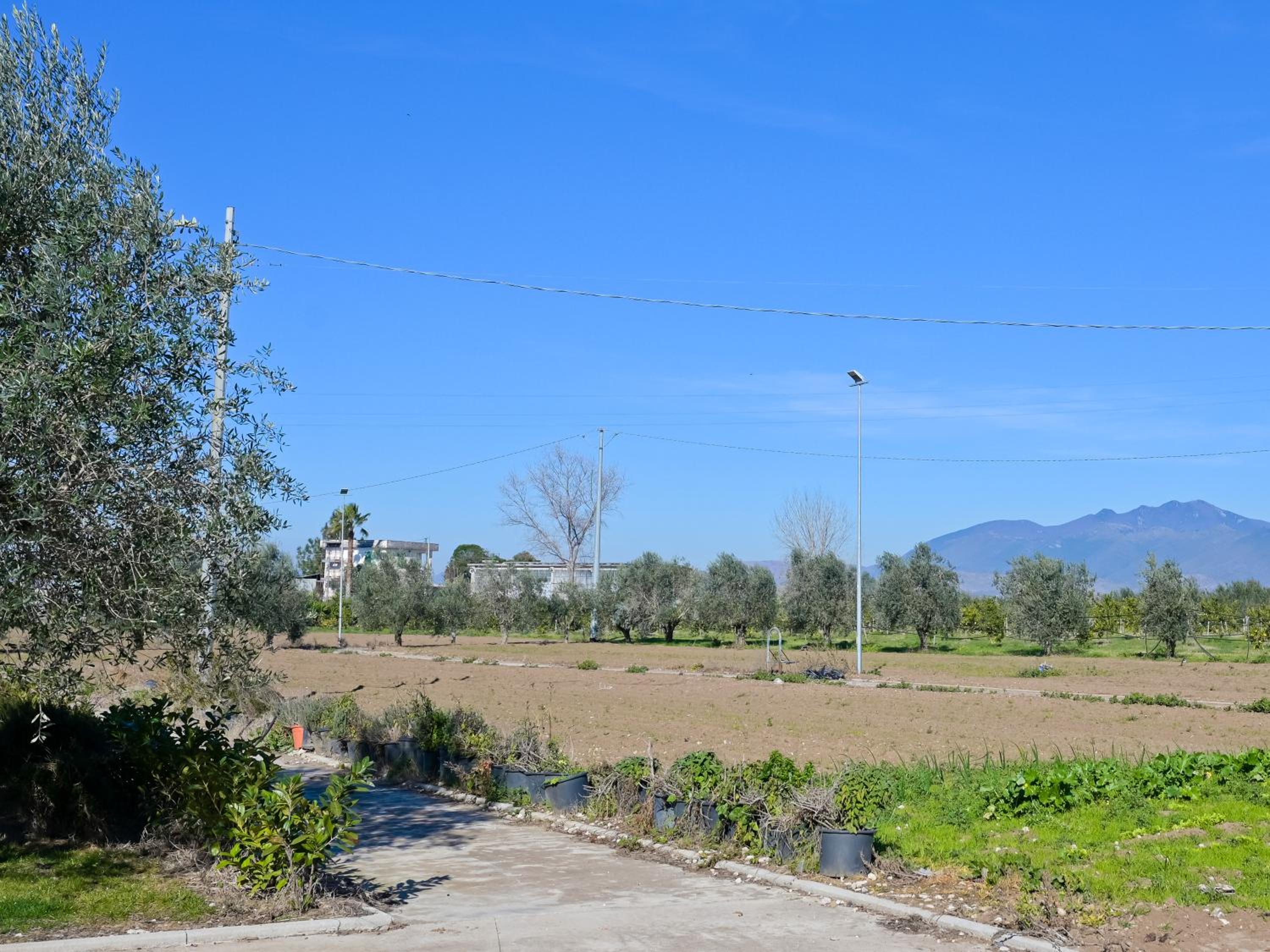 Photo 44