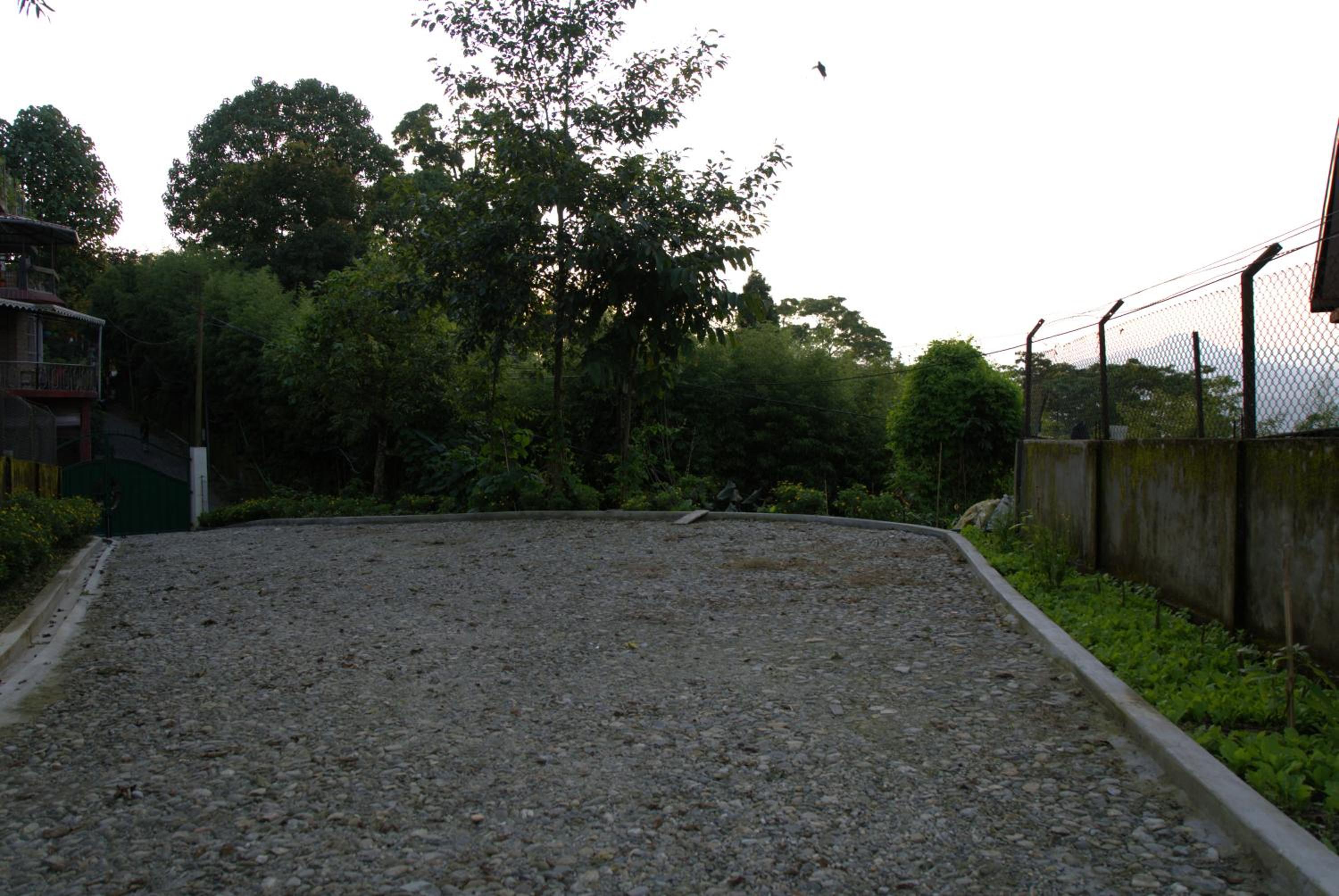 Photo 24