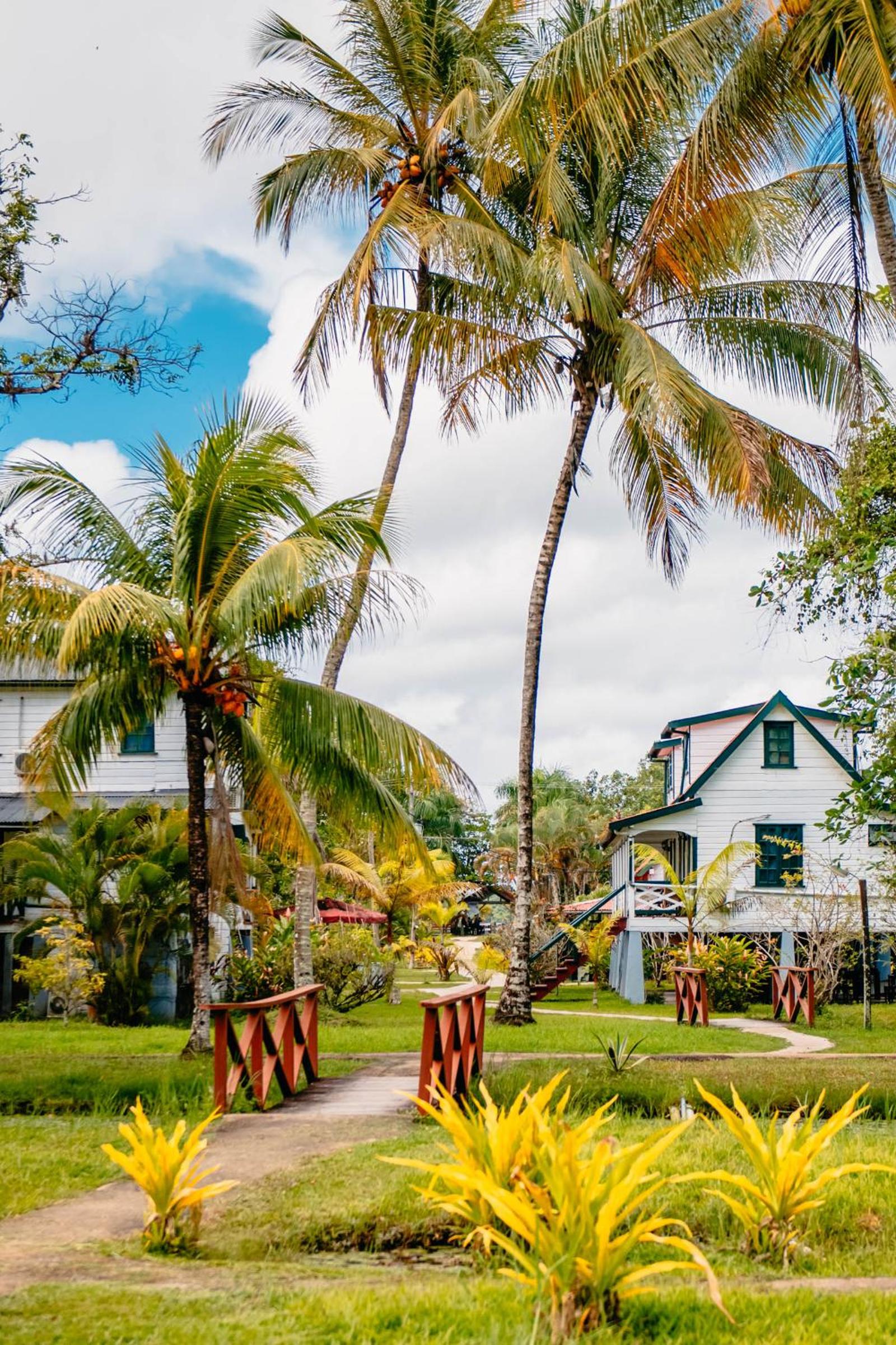 Plantage Resort Frederiksdorp