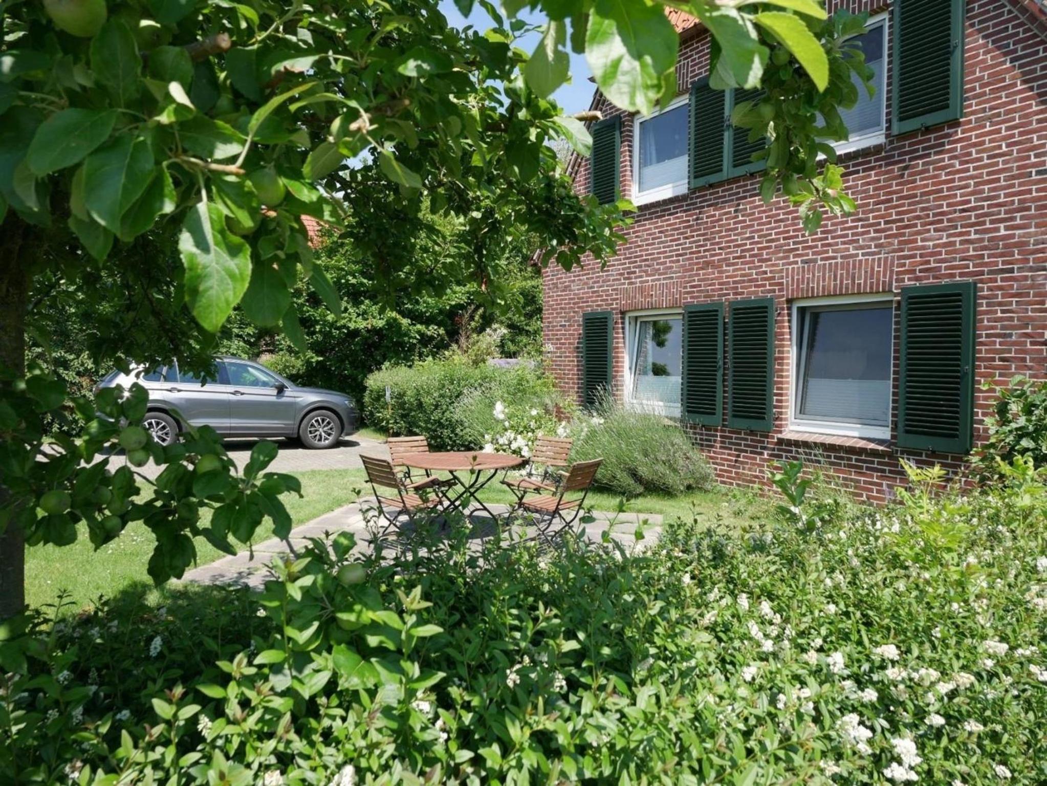 Apart Zwergmöwe