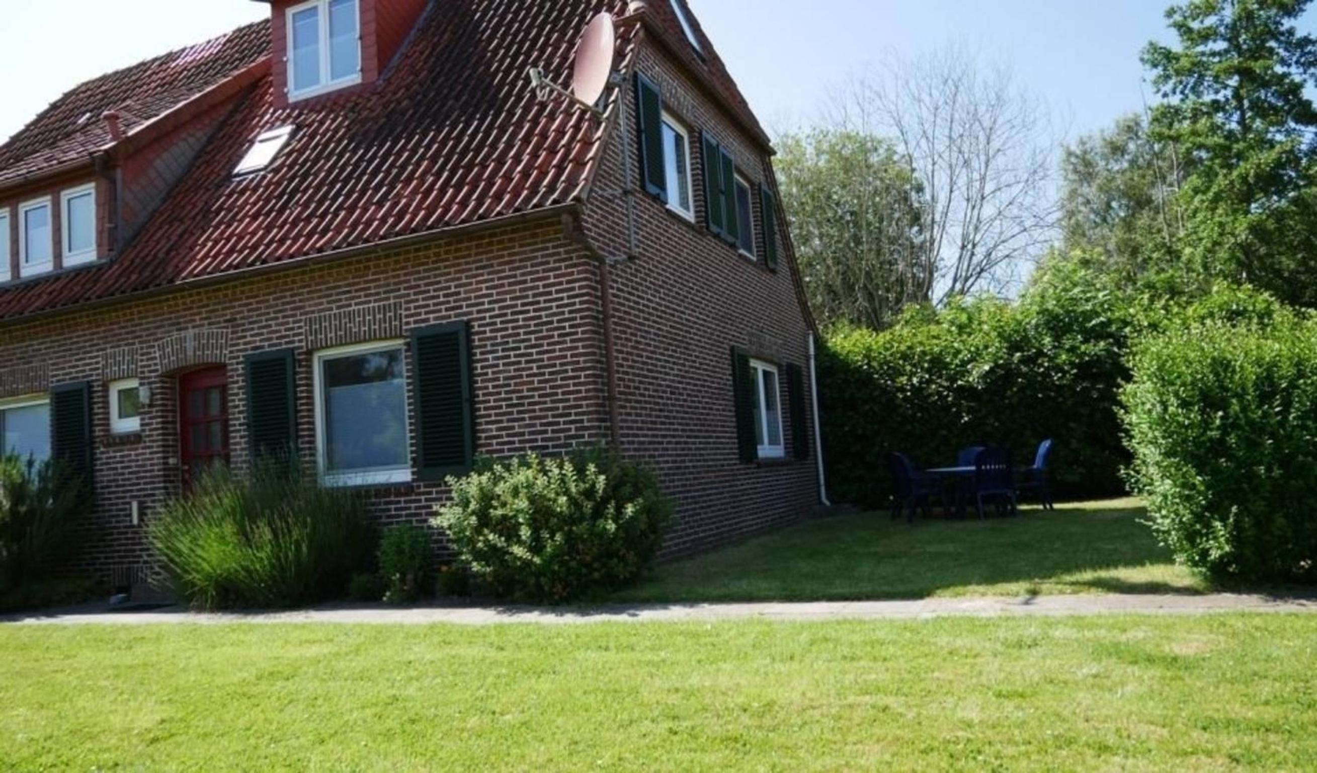 Apart Zwergmöwe