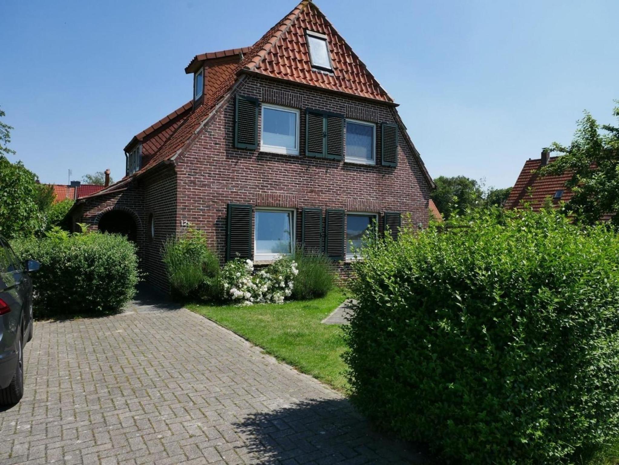 Apart Zwergmöwe