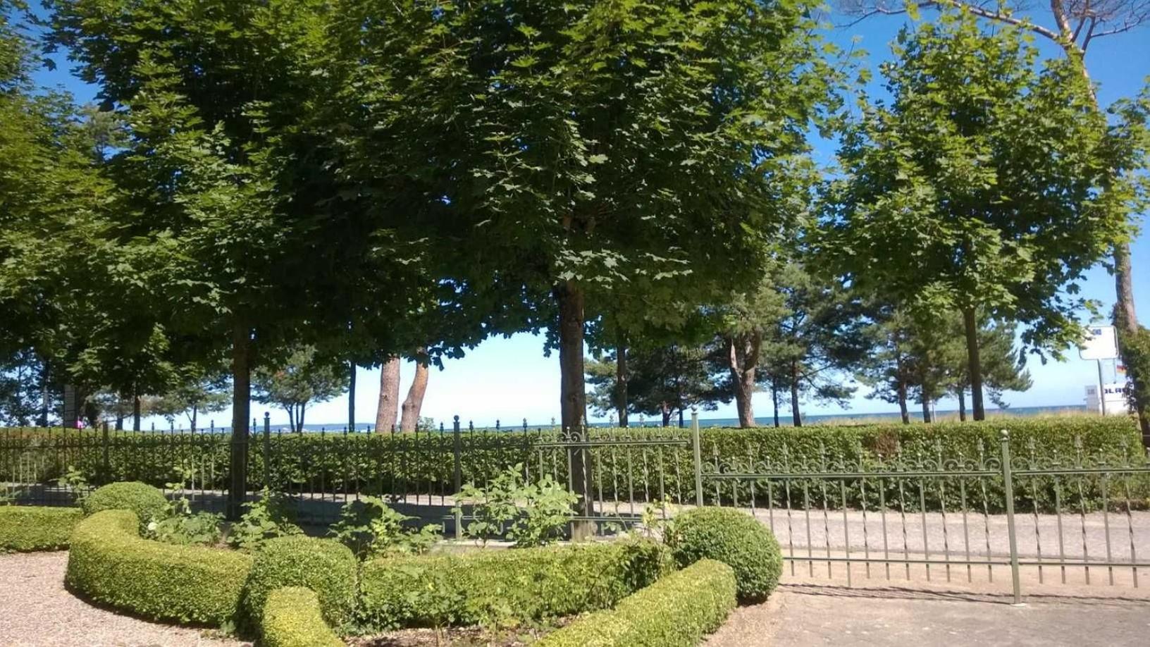 Ruhige FeWo mit Strandkorb, Villa Stranddistel, Binz view 4