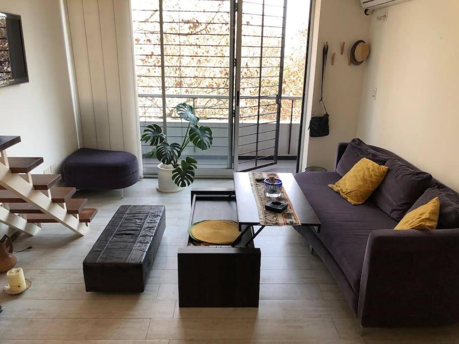 *Palermo Hollywood* Amplio Duplex / Moderno