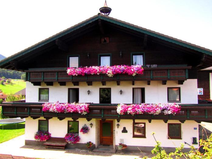 Schusterbauer