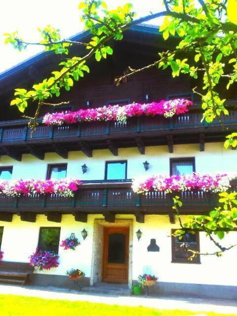 Schusterbauer