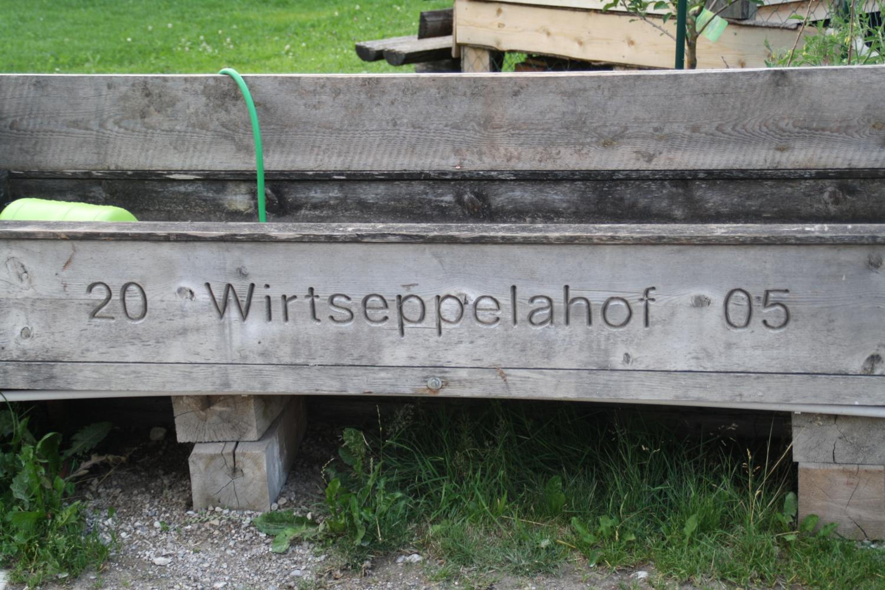 Photo 51