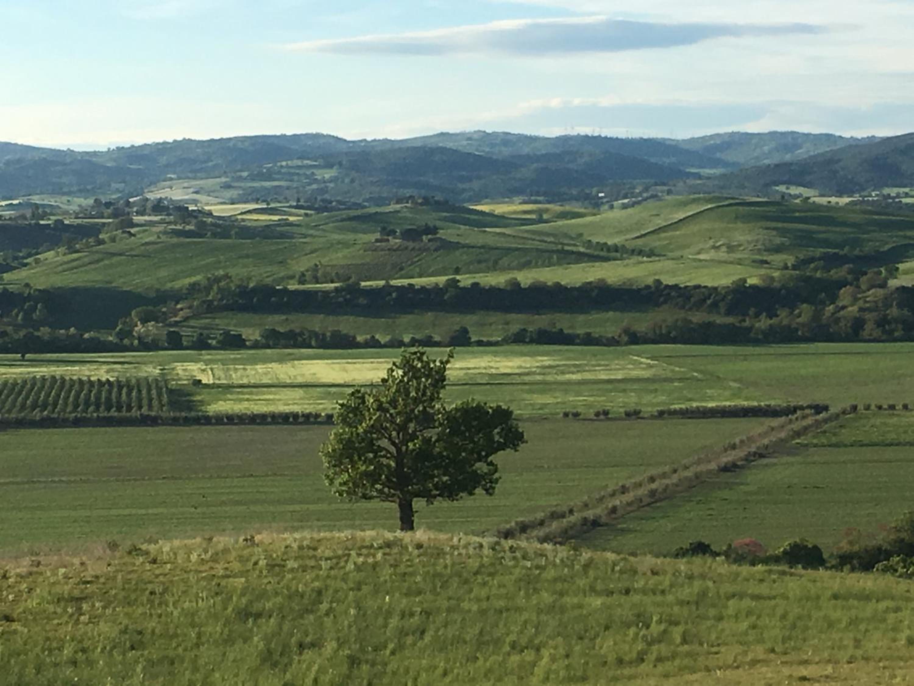 Agriturismo Fontenuova