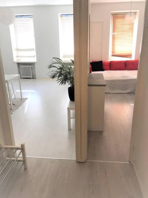 Moderni siisti Studio koti jossa modernit kalusteet