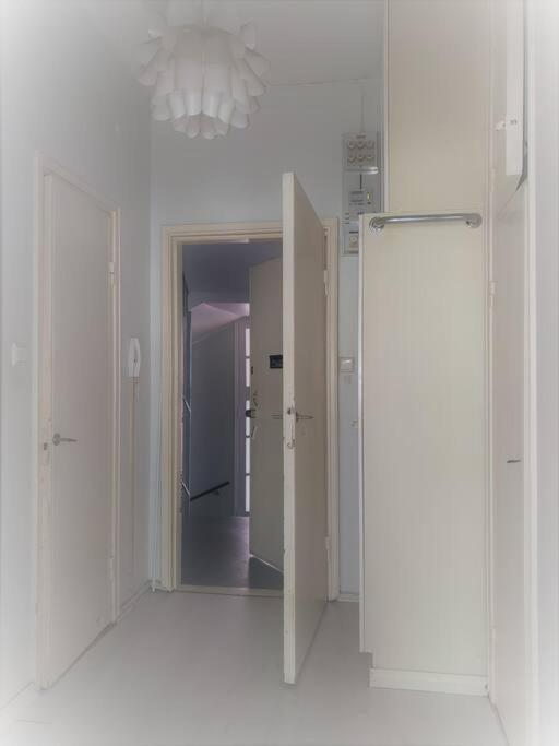 Moderni siisti Studio koti jossa modernit kalusteet