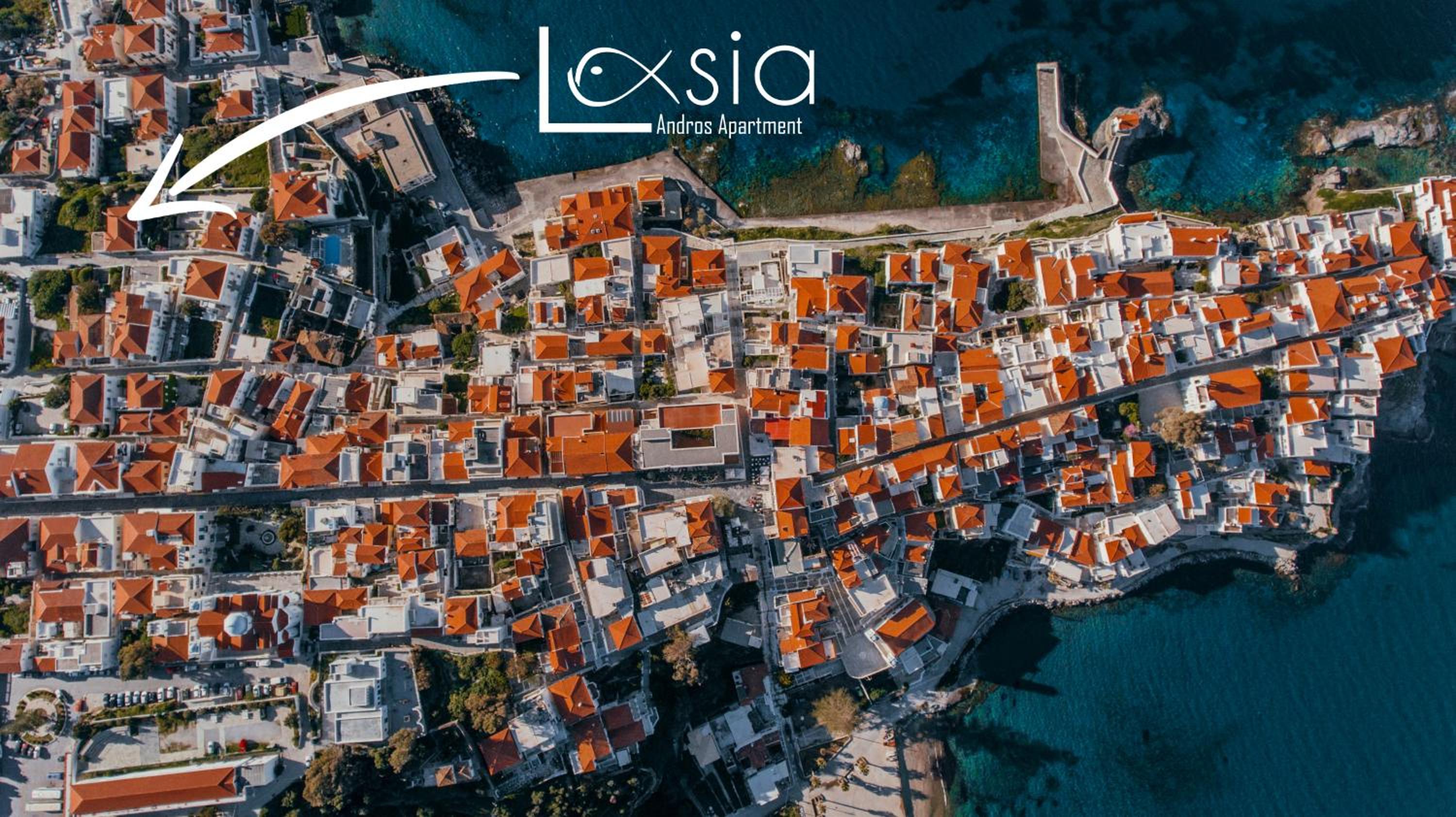 Andros Apartment - Lasia photo 3