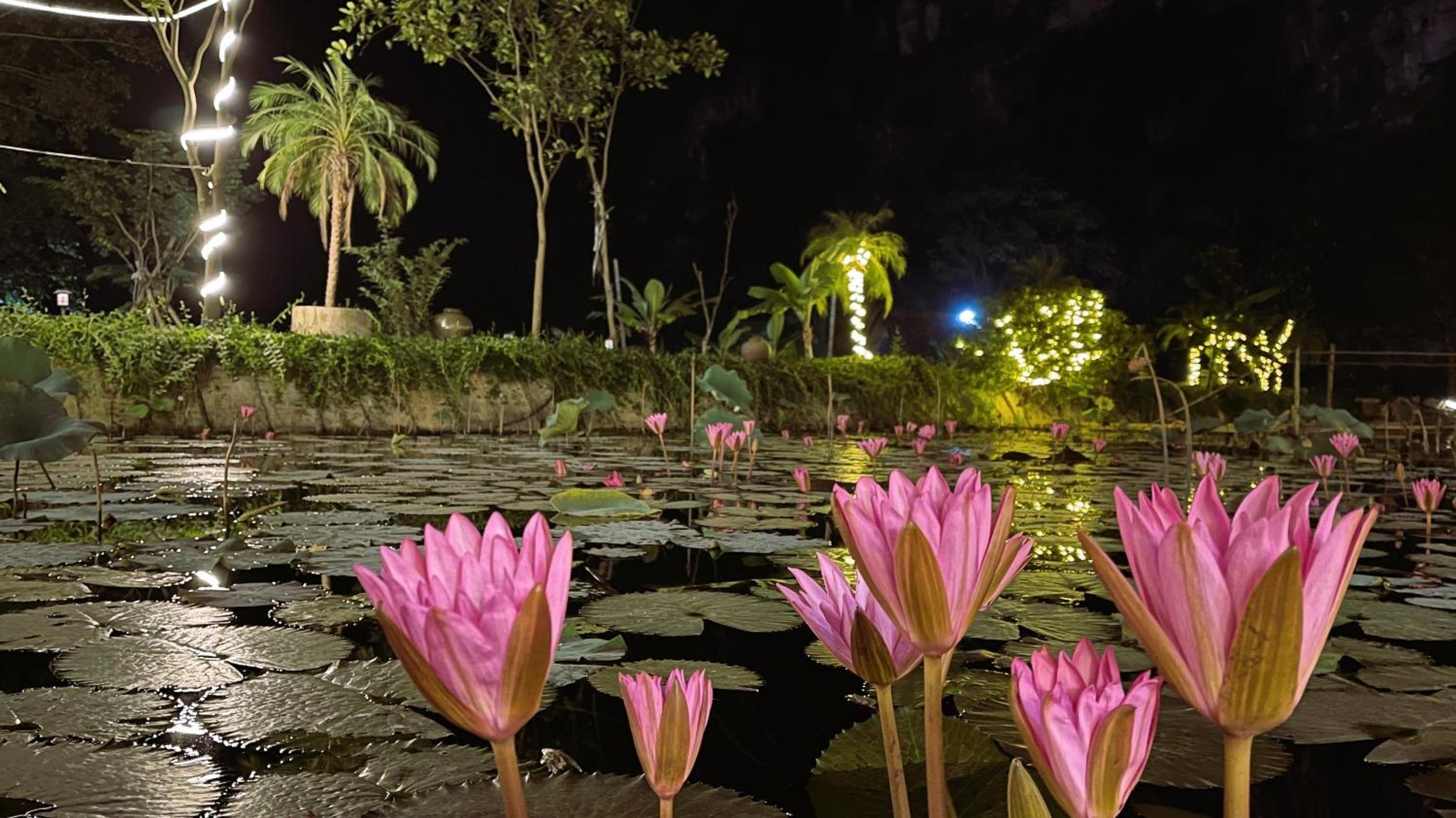 Hoang Minh Mountainside Villa