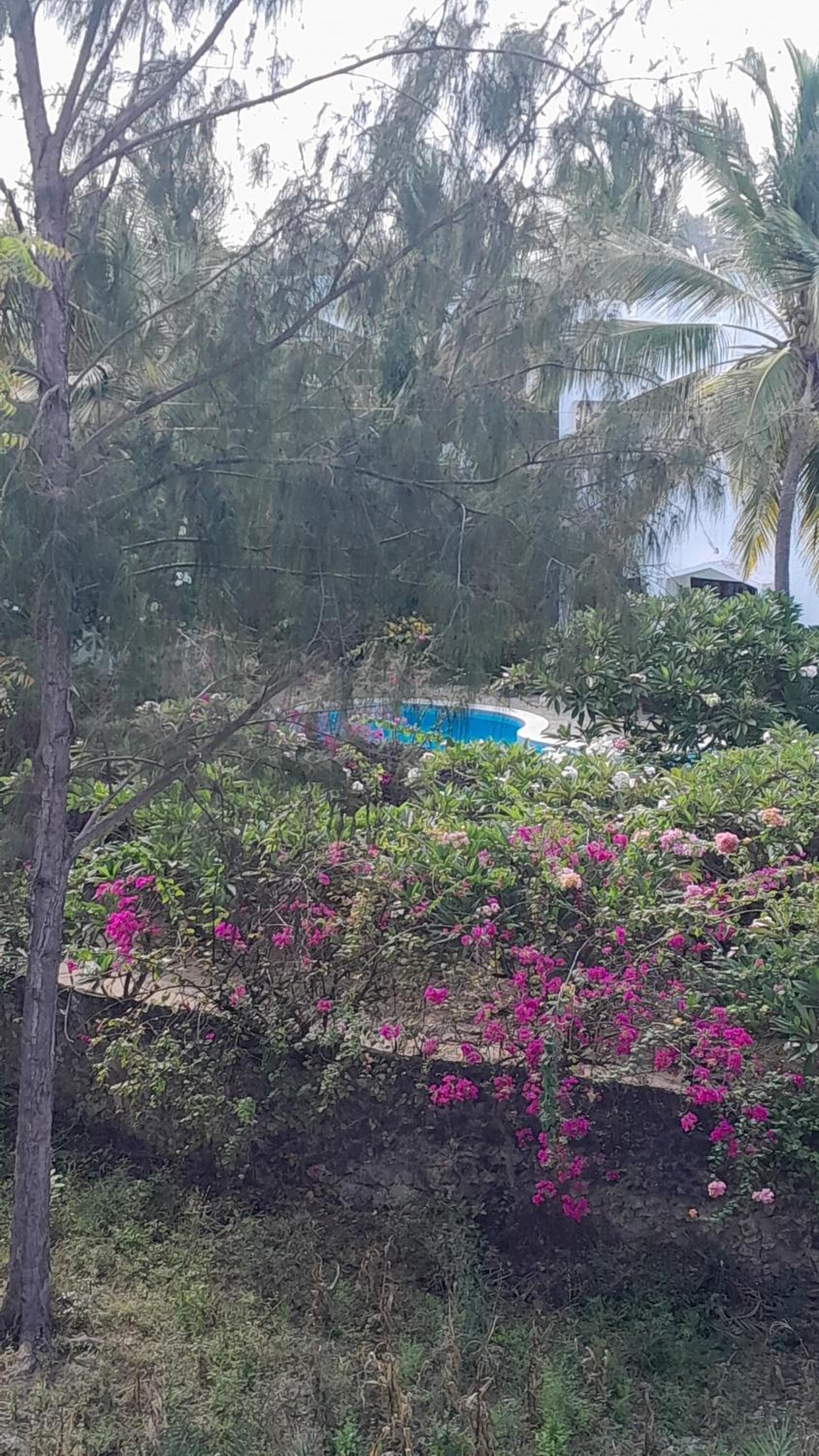 Rose's 1 bedroom Apartment view 2
