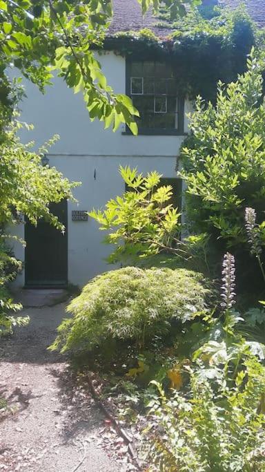 Cosy cottage+ secluded garden view 4