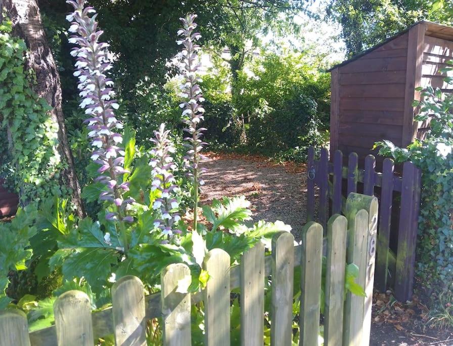 Cosy cottage+ secluded garden view 5