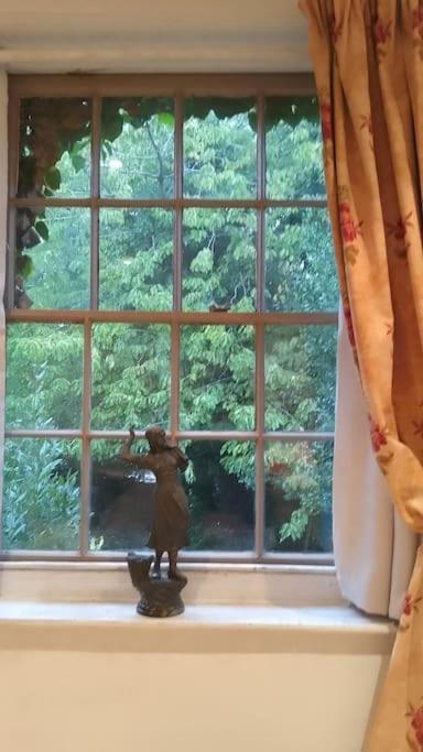 Photo 36