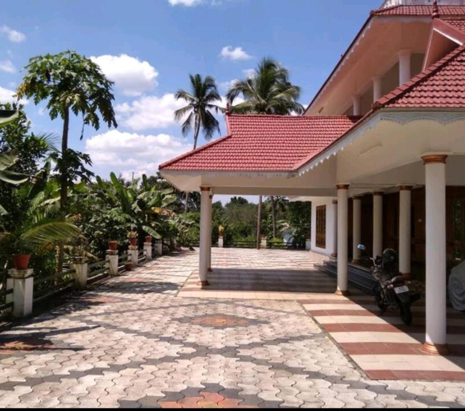 Sunnys abode view 2
