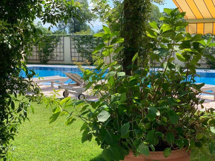 Andrej home view 5