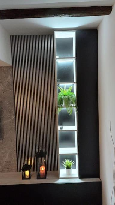Apartman Ena Radićeva