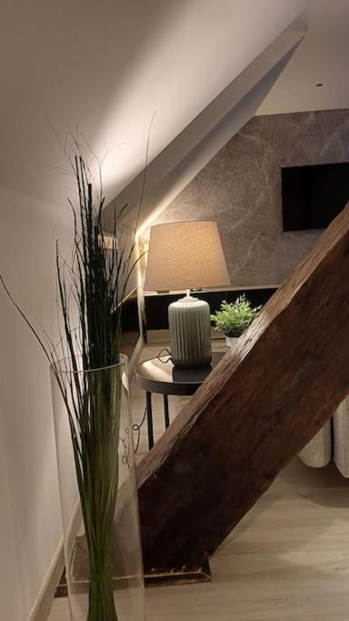 Apartman Ena Radićeva