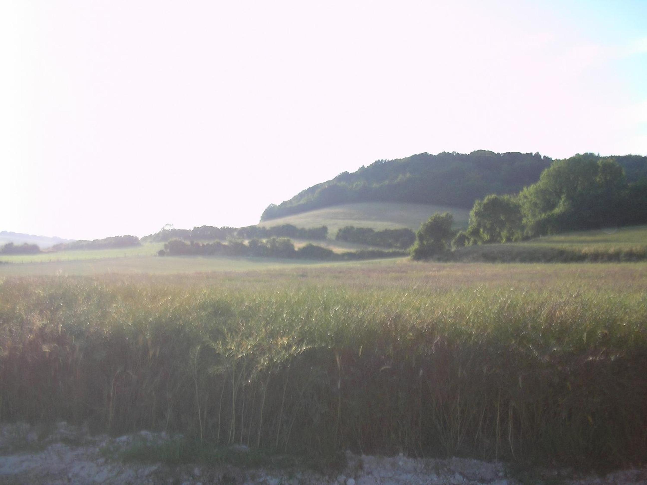Gite "la Solitude" view 5