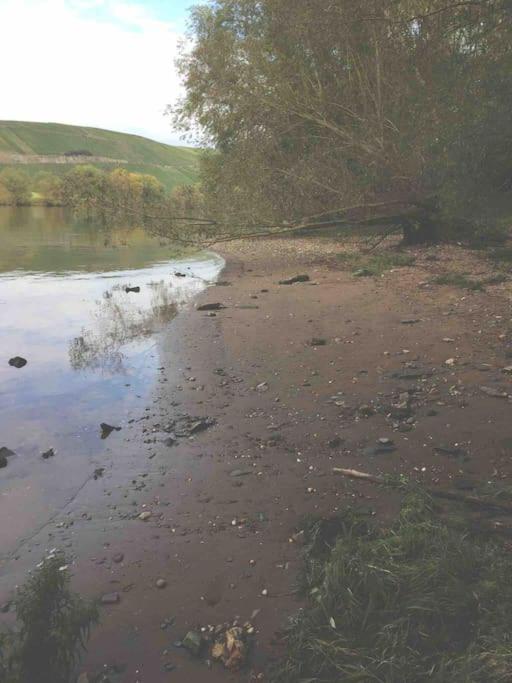 Wohnen direkt am Moselstrand