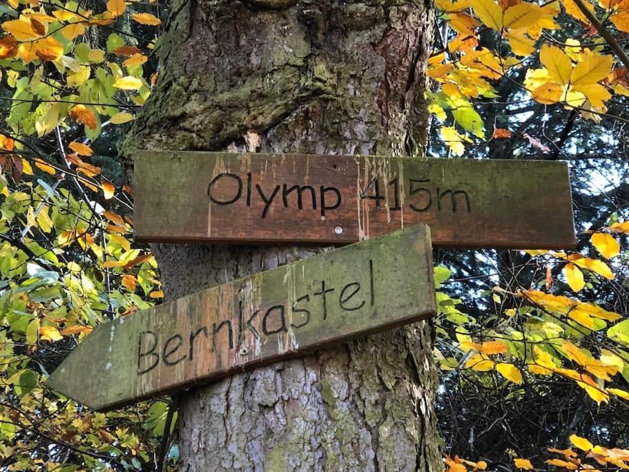 Wohnen direkt am Moselstrand
