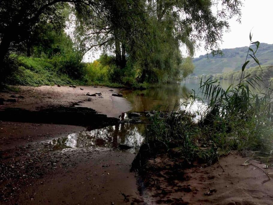Wohnen direkt am Moselstrand
