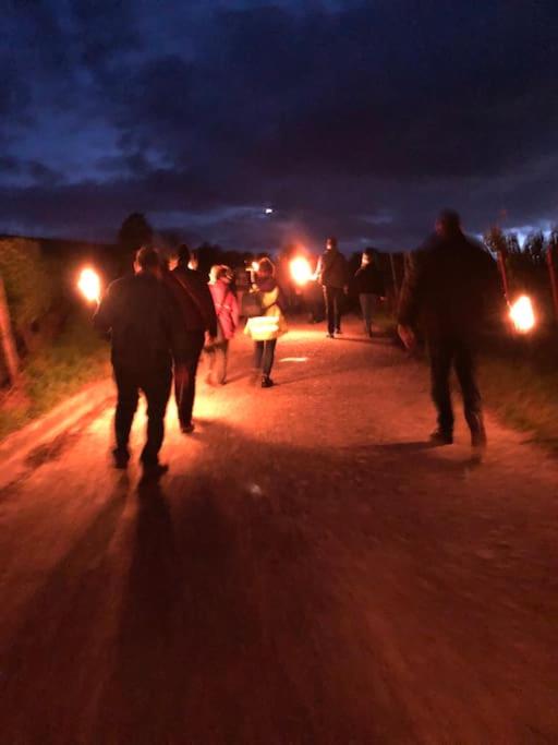 Wohnen direkt am Moselstrand