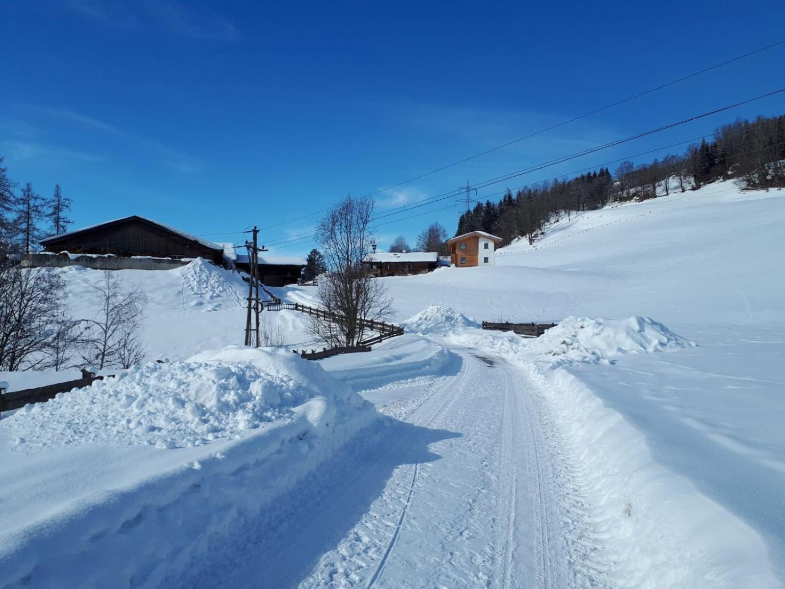Viehhofgut