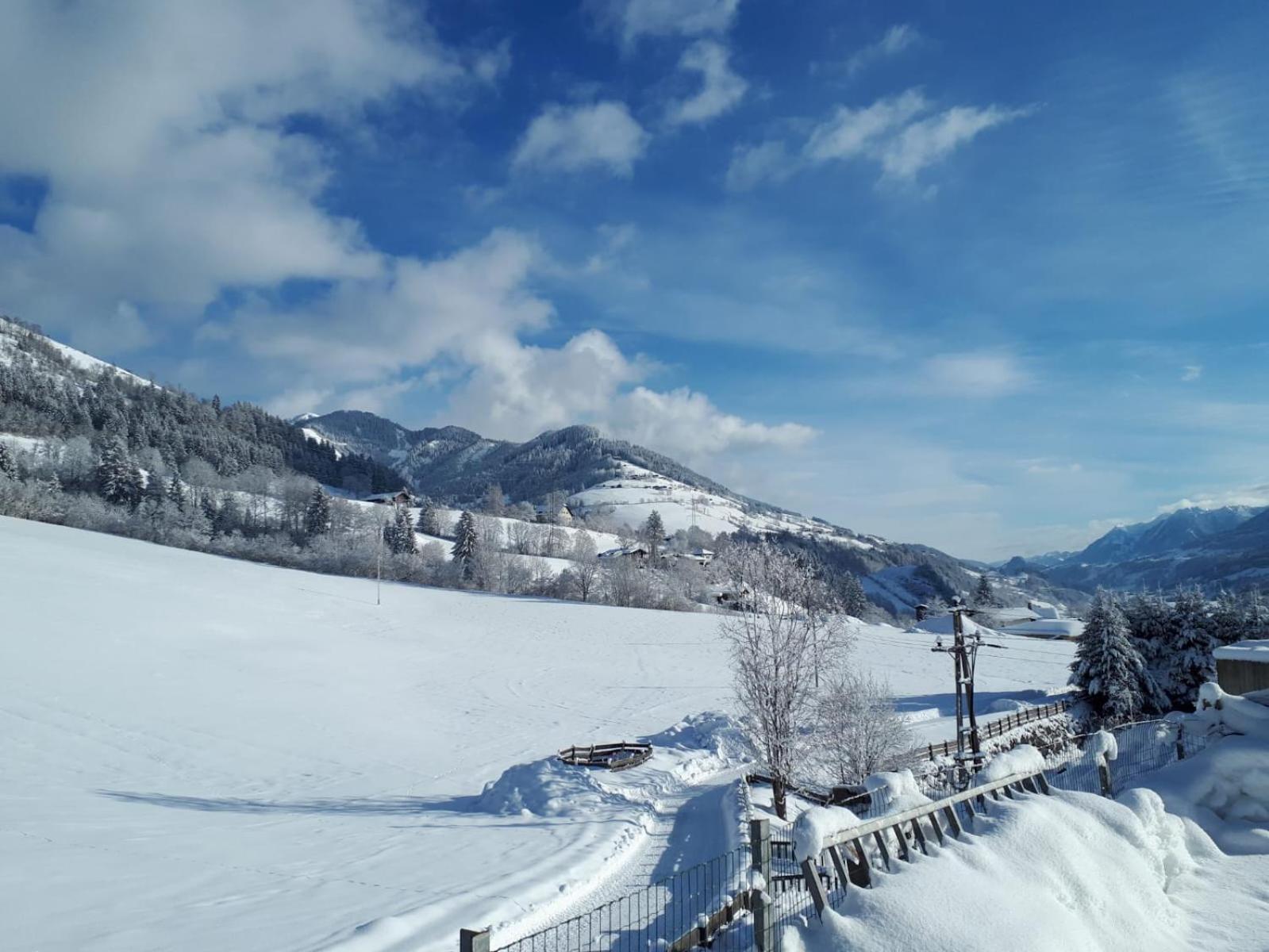 Viehhofgut
