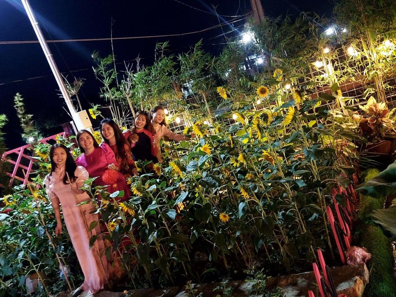 Hồ Tràm Pink House view 5